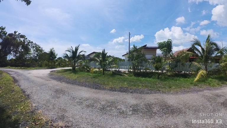 foto41
