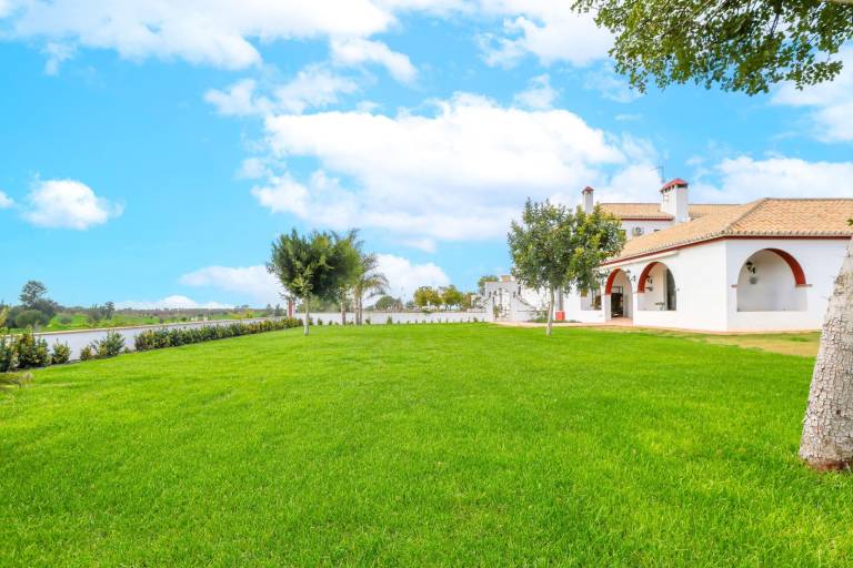 Chalet Torrepalma