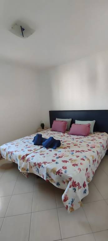 Holiday apartment with private pool | Close to the beach | Pets are welcome — photo 5