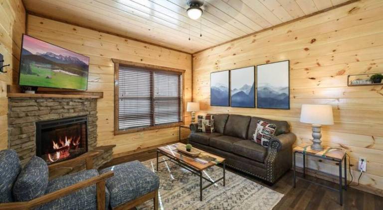 Dog Friendly, 3-Decks, Indoor Pool, Hot Tub with Arcade — photo 4