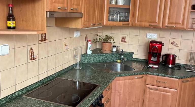 Rental apartment with 1 room for 5 persons — photo 4