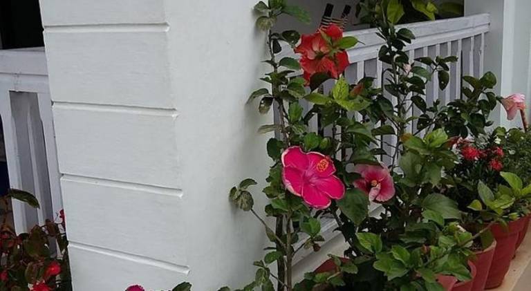 foto40