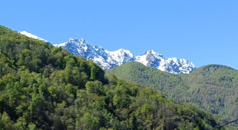 Guesthouse "Castello del Nucleo" in Losone