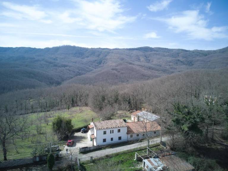 Agriturismo Li Guira – Natura, uliveti ed esperienze autentiche nel Cilento — photo 2