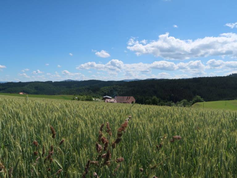 foto15