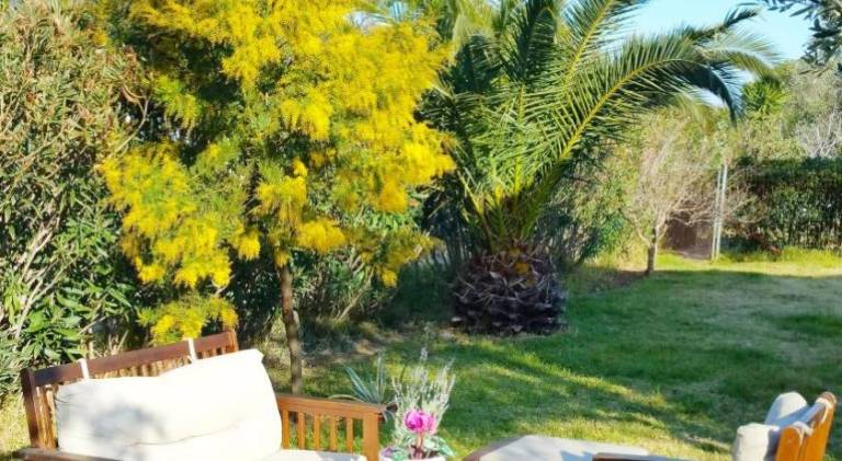 BAREFOOT COTTAGE in Skiathos