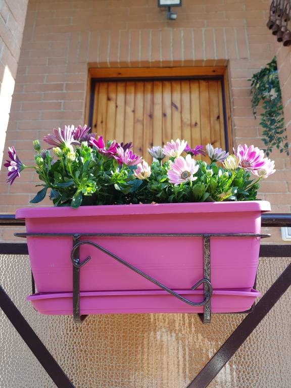 foto31