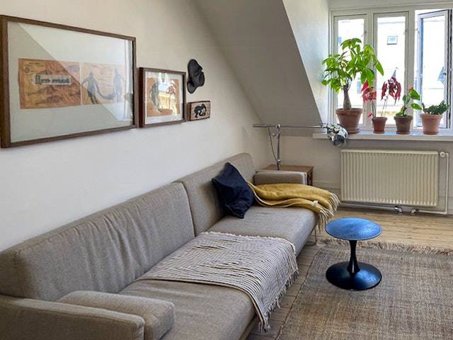 Penthouse with balcony near Botanical Garden — photo 4