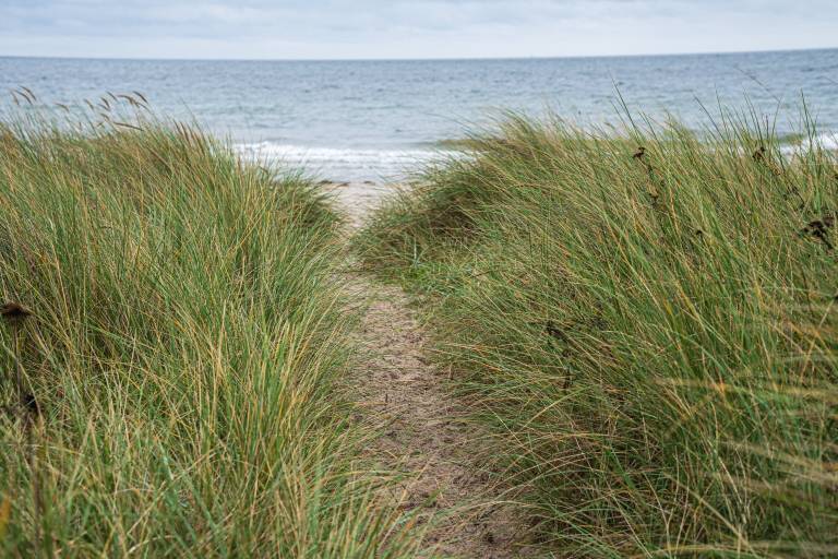 Ferienwohnung Skovmose