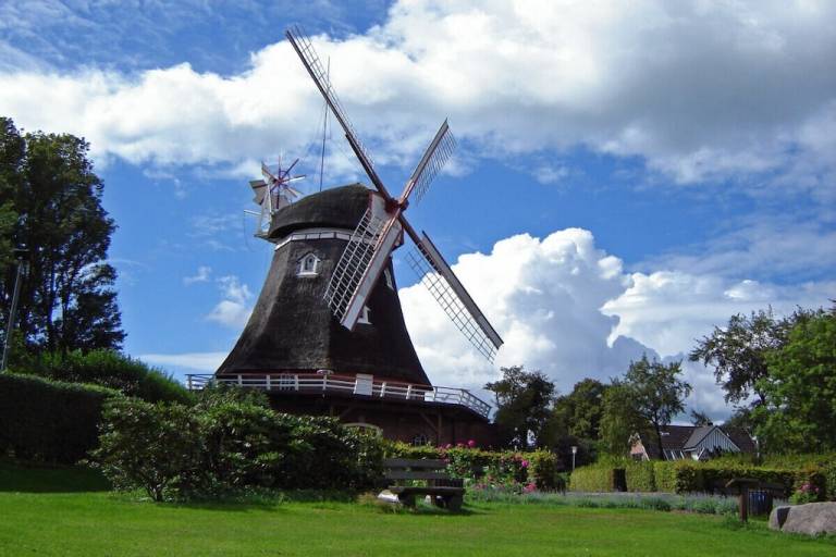 foto14