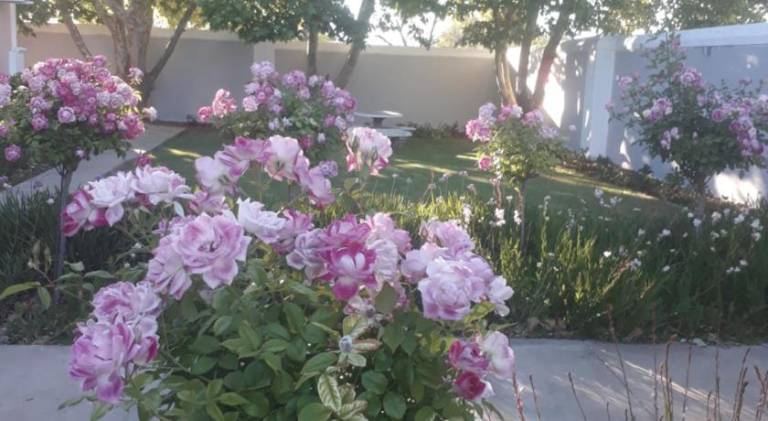 foto16