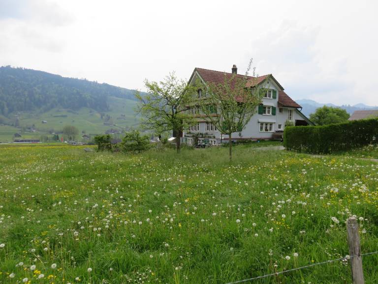 foto12