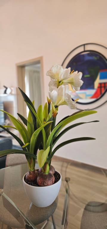 foto22