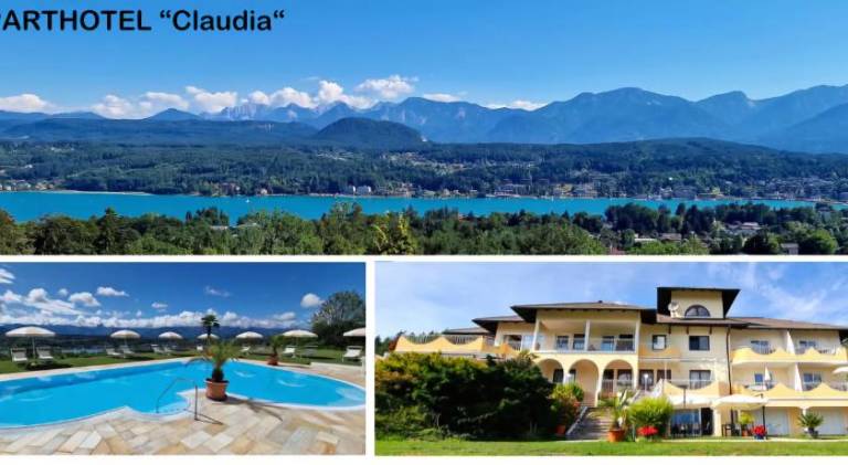 Serviced apartment with pool, grill & patio | Pets are welcome in Villach