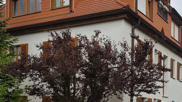 Ferienwohnung Plauen