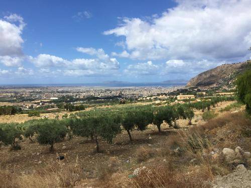 Appartamento Erice