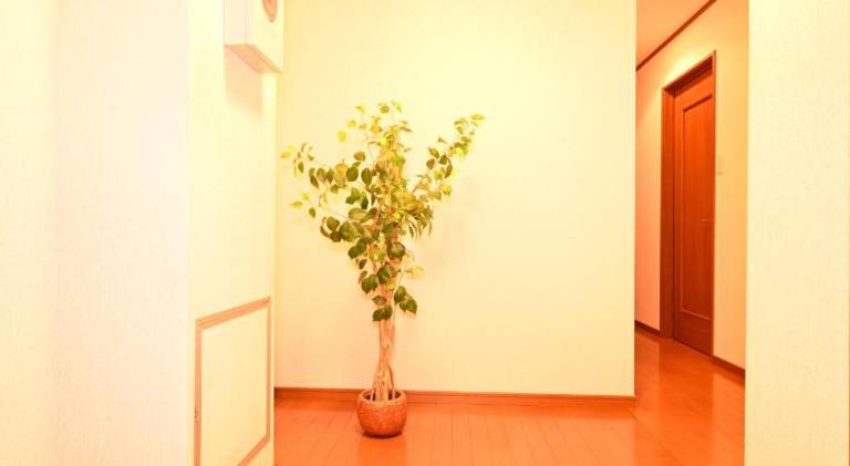 foto7