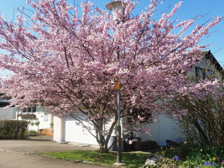 Ferienwohnung Wangen im Allgäu