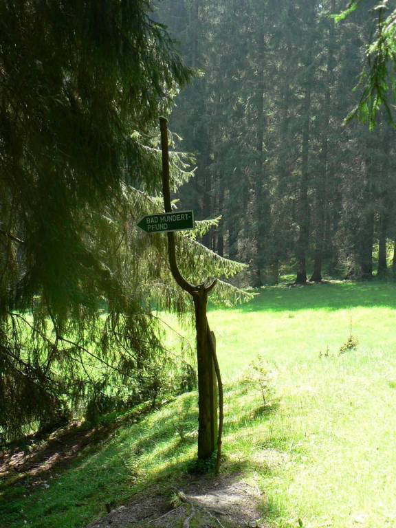 foto15