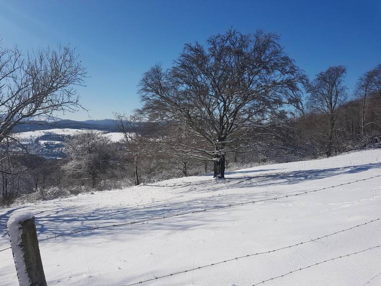 foto14
