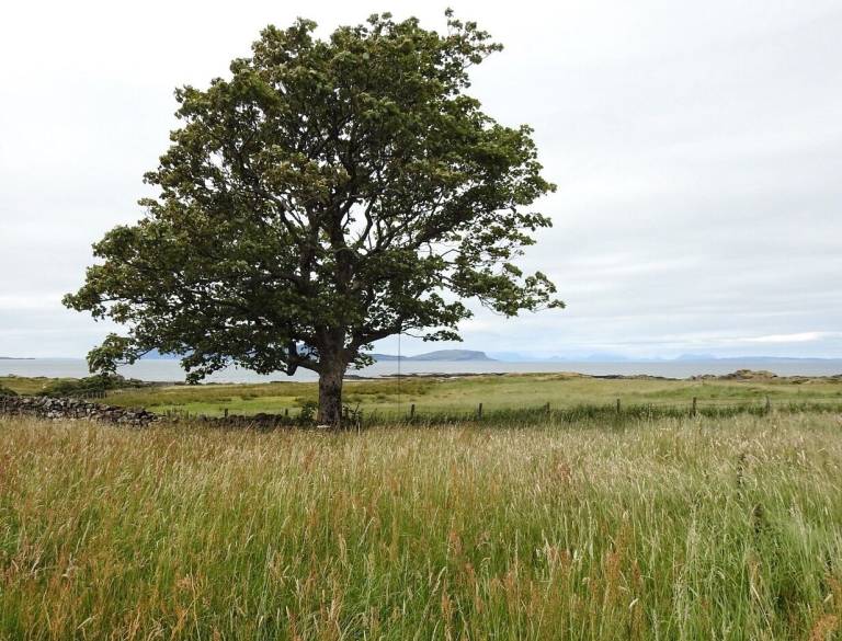 Cottage Ardnamurchan