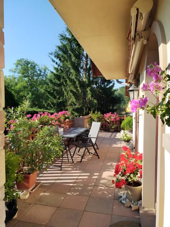 Child-friendly bed & breakfast with yard & patio | Garden view | Good for workation | Pets are welcome — photo 3