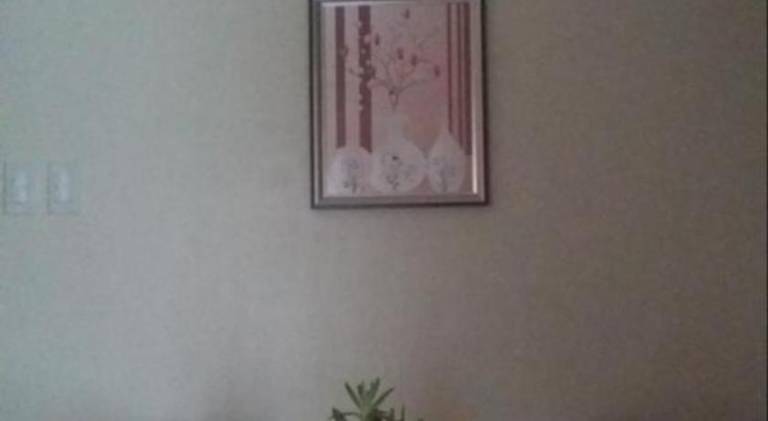 foto19
