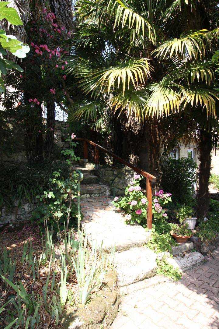 foto15