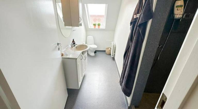 Rental apartment | Pets are welcome — photo 3