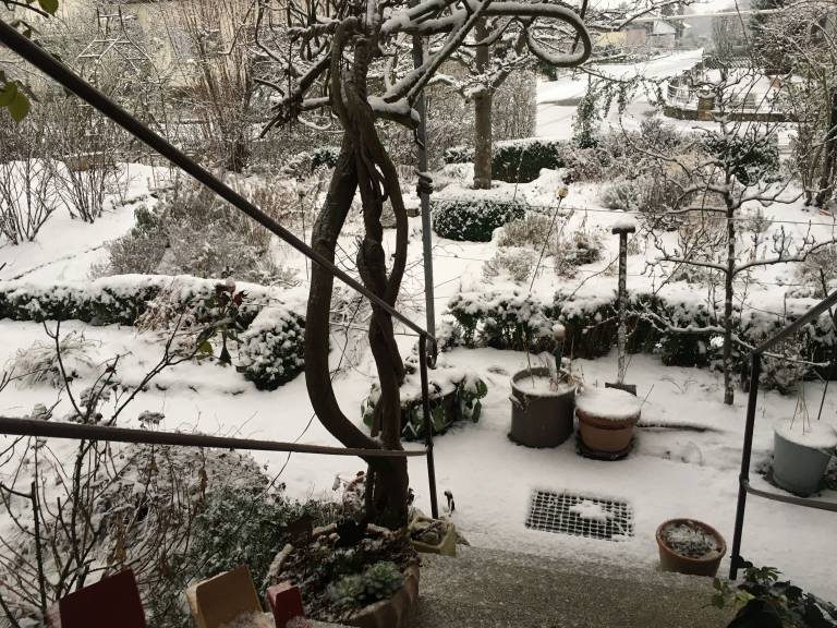 foto19