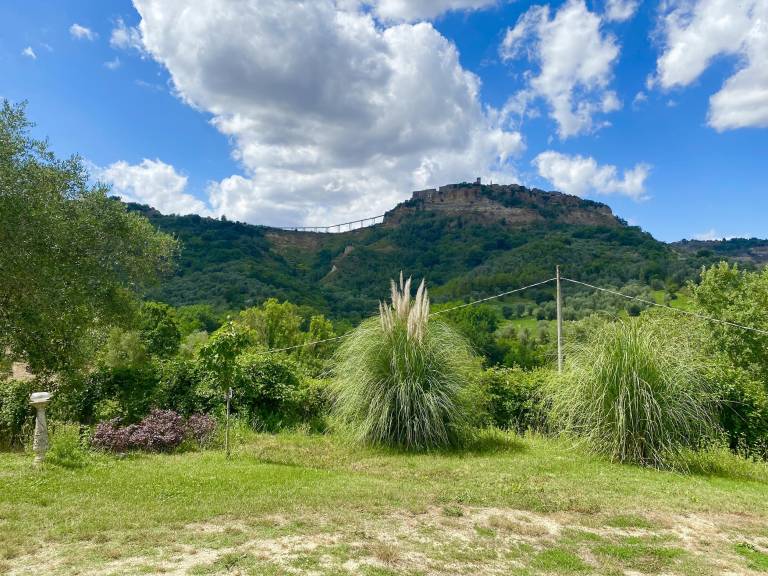 Family-oriented nice villa with patio, grill & garden | Panoramic view | Dogs allowed — photo 3