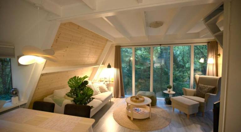 Chalet with pool | Pets are welcome — photo 2