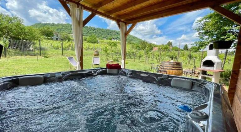Beautiful rental apartment with hot tub | Pets are welcome — photo 4