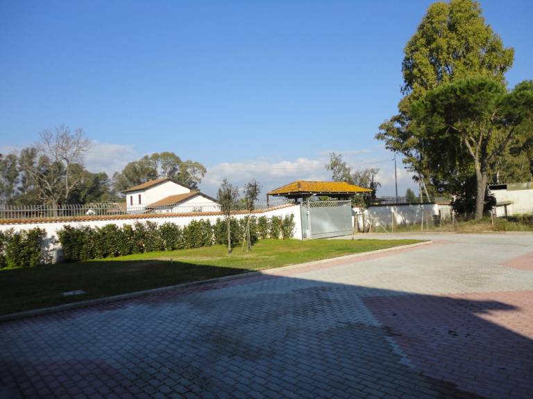 foto8