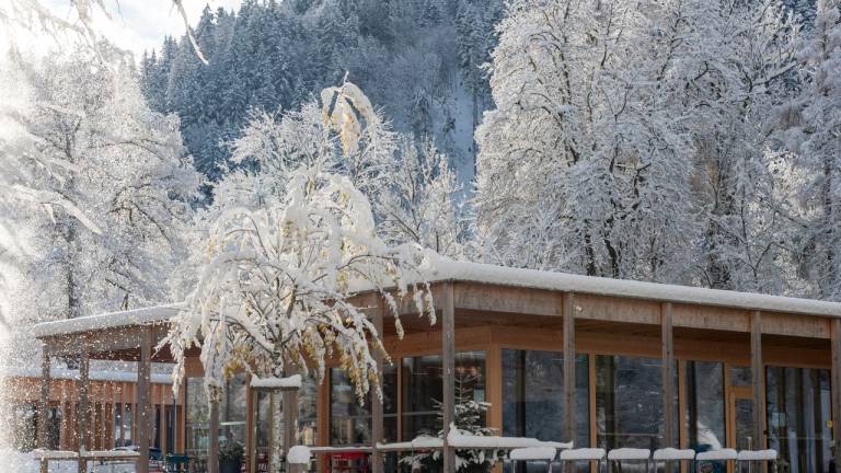 Ferienwohnung Gemeinde Dornbirn