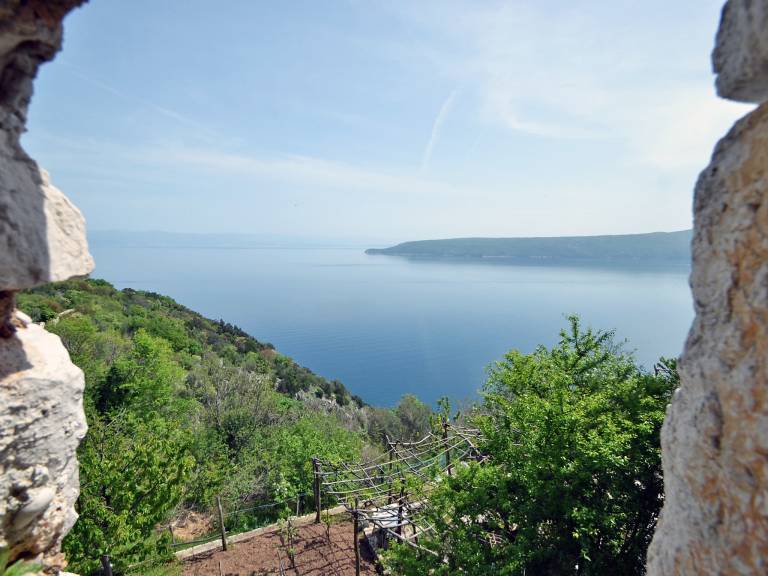 foto16