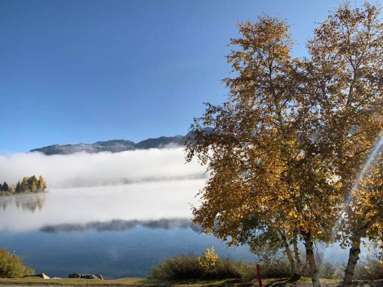 Ferienwohnung in La Punt f&uuml;r max. 2 Personen