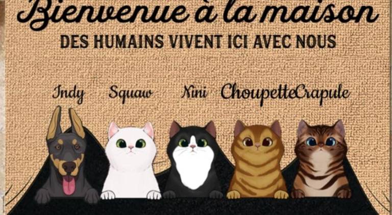 Chez Sophie et Thibault — photo 5