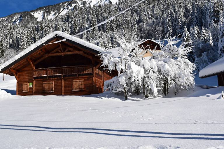 Chalet Abondance