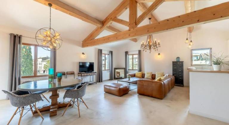 Olive- Vaste appartement donnant sur la Sorgue in L'Isle-sur-la-Sorgue