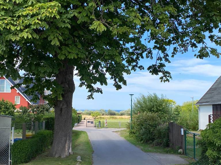 foto17