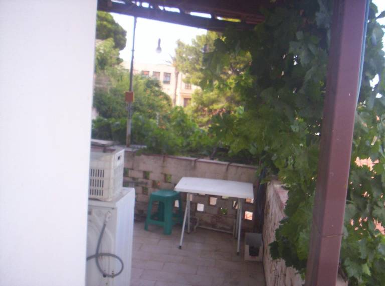 foto8
