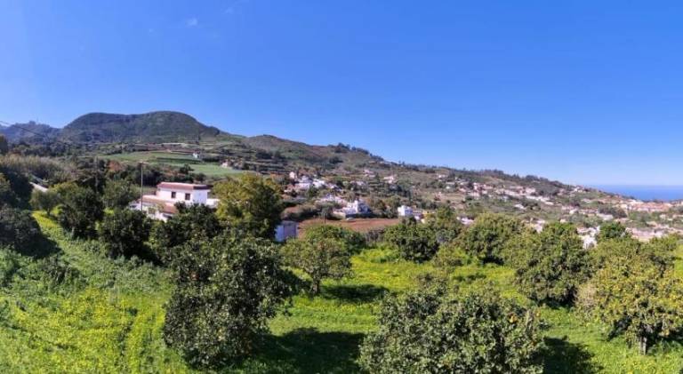 House with yard, patio & grill | Good for workation | Pets are welcome in Las Palmas de Gran Canaria
