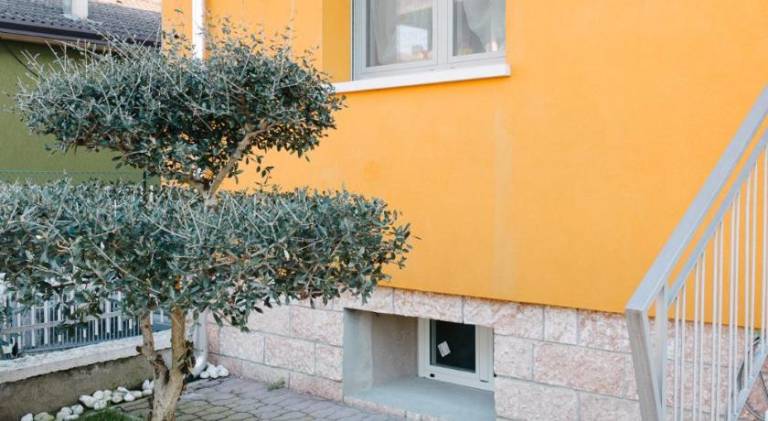 Holiday apartment | Dogs allowed — photo 5