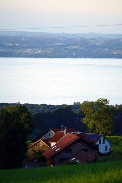 foto18