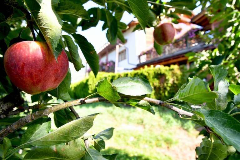 Agriturismo Obermoarhof: Appartamento Radlsee 2 adulti 2 bambini — photo 2