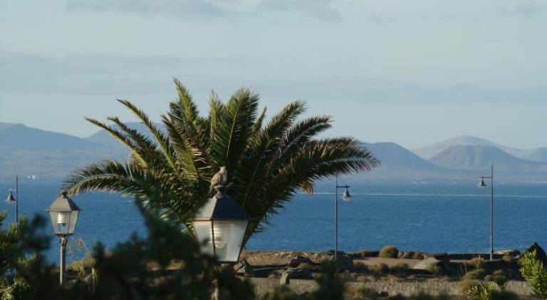 Fully equipped vacation home with yard, terrace & private pool | Suitable for remote work | Dogs allowed in Yaiza