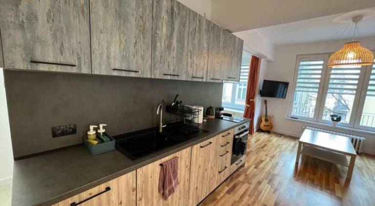 Nice rental apartment | Next to Alexander Nevsky Cathedral | Pets are welcome — photo 3