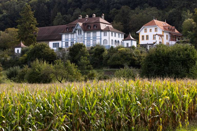 Ferienwohnung in Marnand VD, Waadt für max. 2 Gäste
