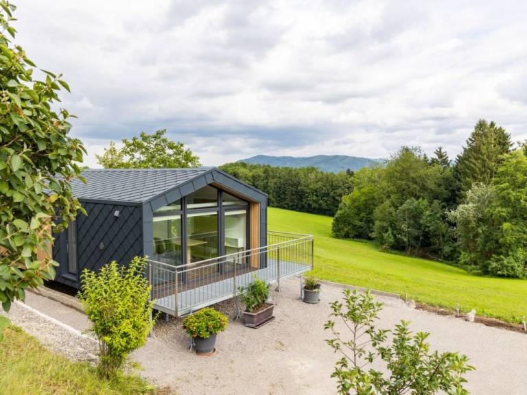 House Steyr